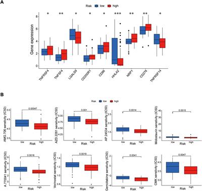 Construction and validation of a novel and superior protein risk model for prognosis prediction in esophageal cancer